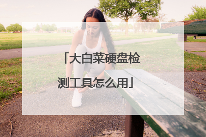 大白菜硬盘检测工具怎么用