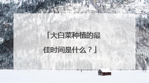 大白菜种植的最佳时间是什么?