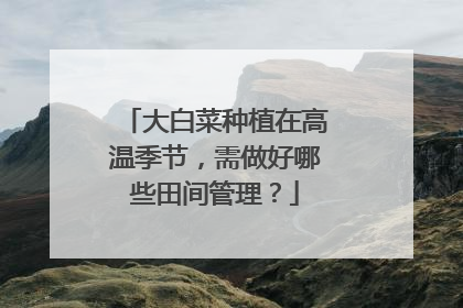 大白菜种植在高温季节,需做好哪些田间管理?