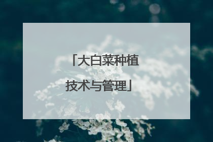 大白菜种植技术与管理