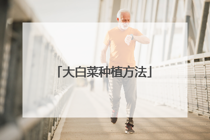大白菜种植方法