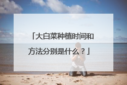 大白菜种植时间和方法分别是什么?