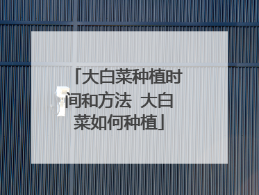 大白菜种植时间和方法 大白菜如何种植