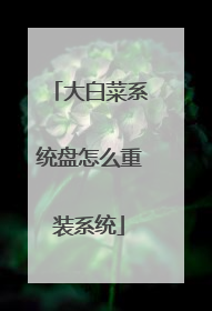 大白菜系统盘怎么重装系统