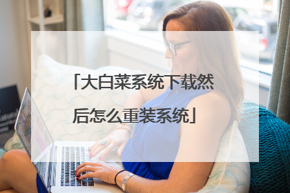 大白菜系统下载然后怎么重装系统