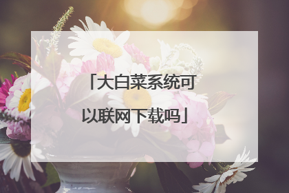 大白菜系统可以联网下载吗