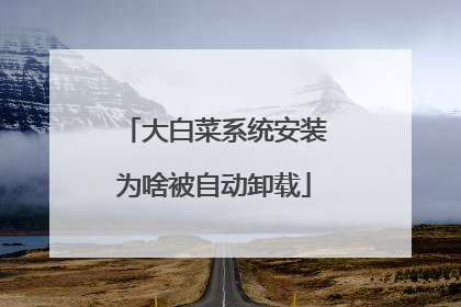 大白菜系统安装为啥被自动卸载
