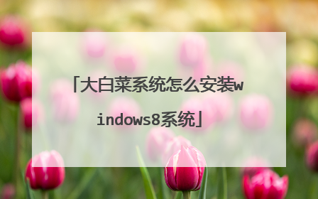 大白菜系统怎么安装windows8系统