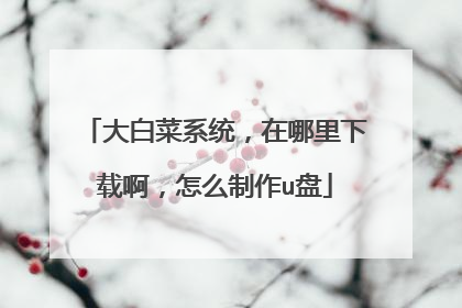 大白菜系统，在哪里下载啊，怎么制作u盘