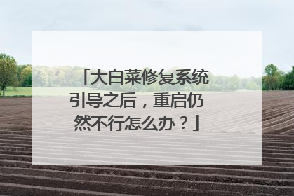 大白菜修复系统引导之后，重启仍然不行怎么办？