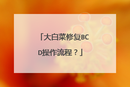 大白菜修复BCD操作流程?