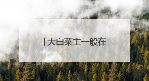 大白菜主一般在秋季种植,选哪个品种产量高?