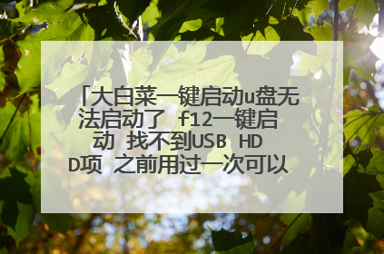 大白菜一键启动u盘无法启动了 f12一键启动 找不到USB HDD项 之前用过一次可以进去 今天用