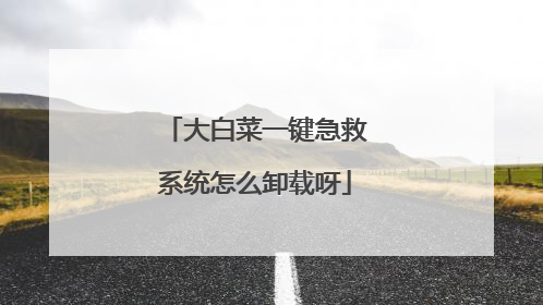 大白菜一键急救系统怎么卸载呀