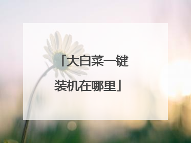 大白菜一键装机在哪里