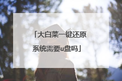 大白菜一键还原系统需要u盘吗
