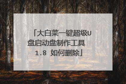 大白菜一键超级U盘启动盘制作工具 1.8 如何删除