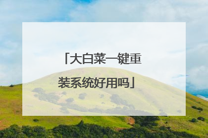 大白菜一键重装系统好用吗
