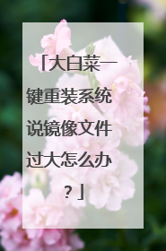 大白菜一键重装系统说镜像文件过大怎么办?