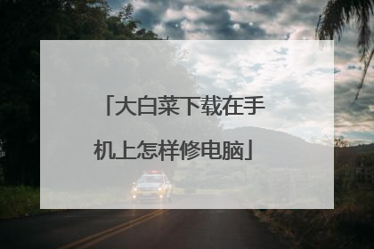 大白菜下载在手机上怎样修电脑