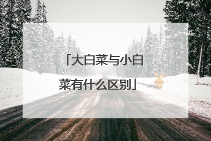 大白菜与小白菜有什么区别