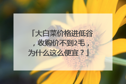 大白菜价格进低谷,收购价不到2毛,为什么这么便宜?
