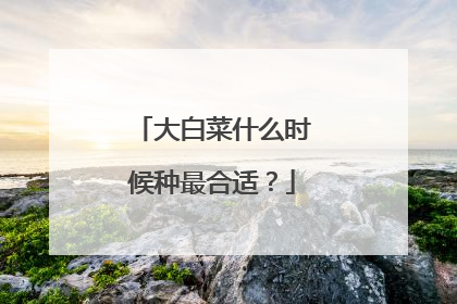大白菜什么时候种最合适?