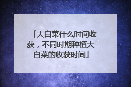 大白菜什么时间收获,不同时期种植大白菜的收获时间