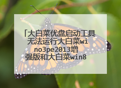 大白菜优盘启动工具 无法运行大白菜wino3pe2013增强版和大白菜win8pe精简版