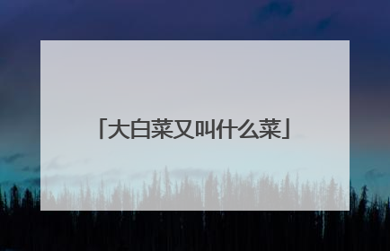 大白菜又叫什么菜