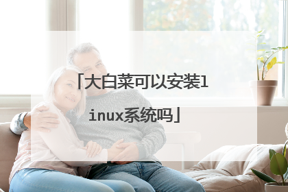 大白菜可以安装linux系统吗
