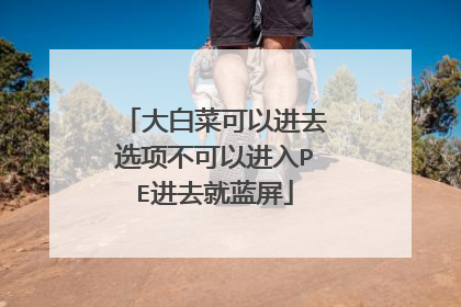 大白菜可以进去选项不可以进入PE进去就蓝屏