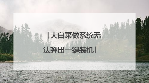 大白菜做系统无法弹出一键装机