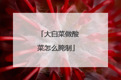 大白菜做酸菜怎么腌制
