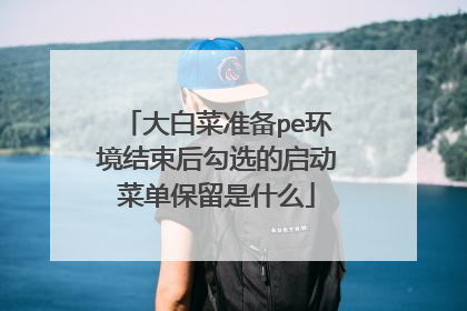 大白菜准备pe环境结束后勾选的启动菜单保留是什么