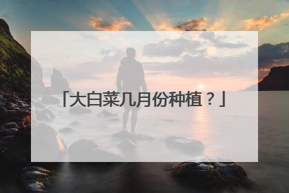 大白菜几月份种植？