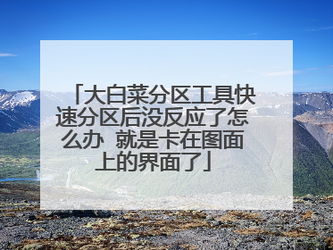 大白菜分区工具快速分区后没反应了怎么办 就是卡在图面上的界面了