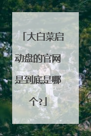 大白菜启动盘的官网是到底是哪个?