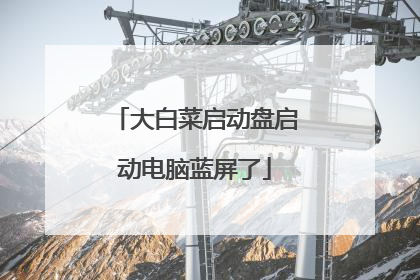 大白菜启动盘启动电脑蓝屏了