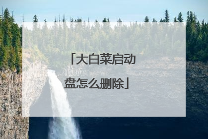 大白菜启动盘怎么删除