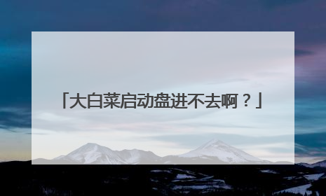 大白菜启动盘进不去啊？