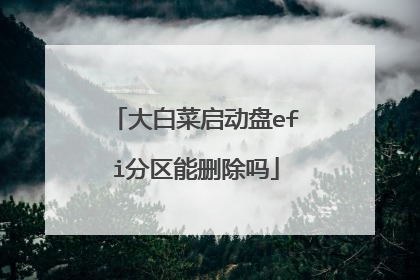 大白菜启动盘efi分区能删除吗