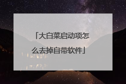 大白菜启动项怎么去掉自带软件