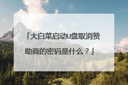 大白菜启动U盘取消赞助商的密码是什么?