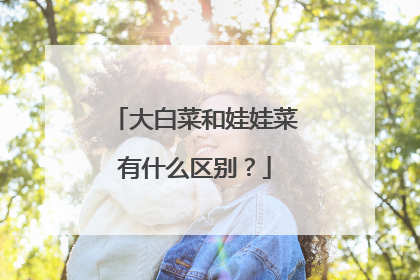 大白菜和娃娃菜有什么区别？