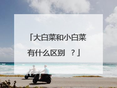 大白菜和小白菜有什么区别 ?