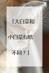 大白菜和小白菜有啥不同?