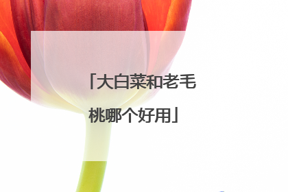 大白菜和老毛桃哪个好用