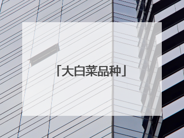 大白菜品种