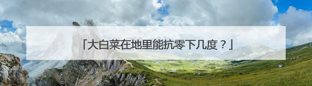 大白菜在地里能抗零下几度?